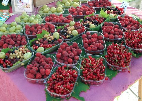 D&eacute;gustation et go&ucirc;ters sur r&eacute;servation...